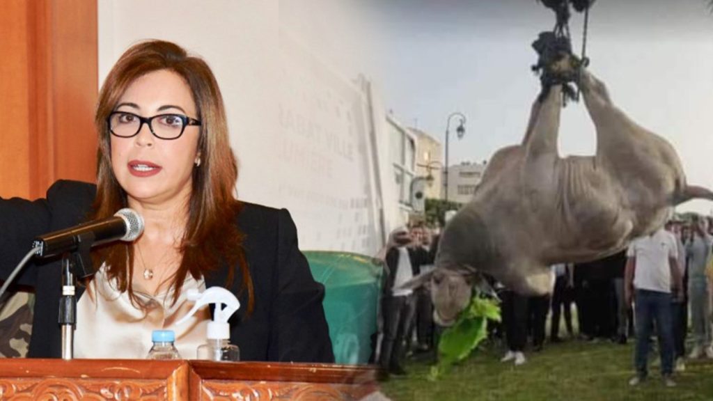 WhatsApp Image 2023-04-10 at 12.37.31