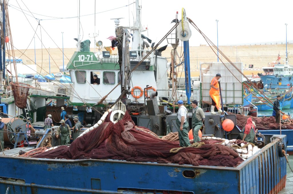 ميناء بوجدور