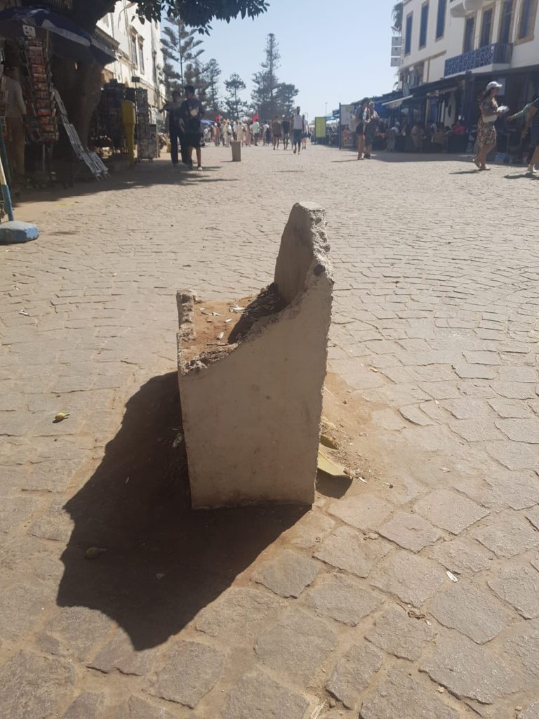 WhatsApp Image 2024-01-15 at 11.26.46