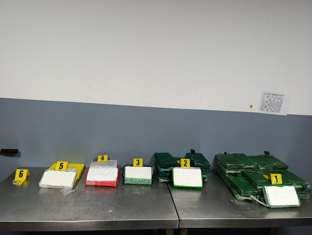 WhatsApp Image 2025-08-14 at 00.10.56